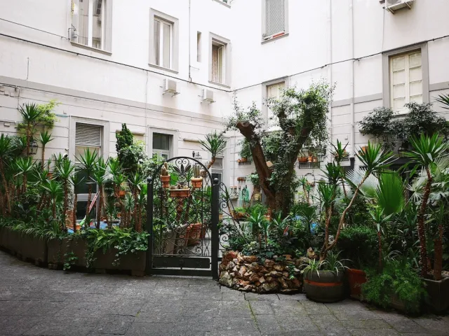 Billede av hotellet B&b Pantarei Napoli - nummer 1 af 10