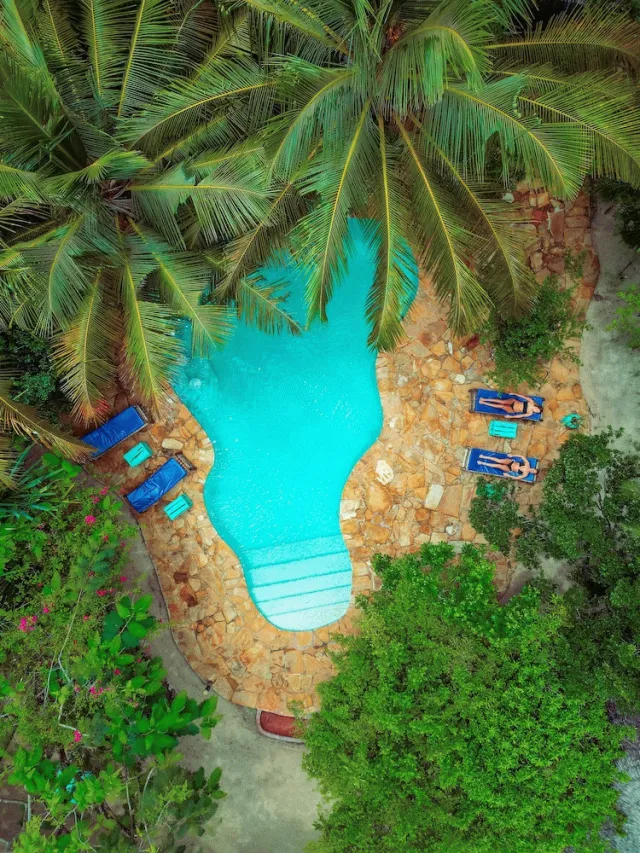 Billede av hotellet Demani Lodge - nummer 1 af 10