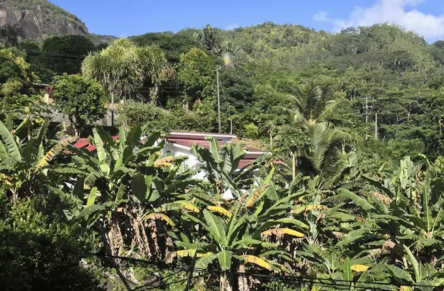 Hotellbilder av Papaya Guesthouse - nummer 1 av 30
