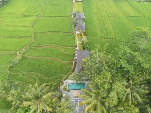 Billede av hotellet Puri Raya Villa Ubud - nummer 1 af 10