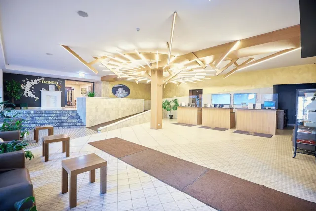 Hotellbilder av Hotel Dzingel - nummer 1 av 82
