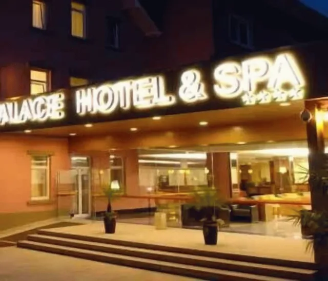 Hotellikuva Palace Hotel & Spa Termas de São Vicente - numero 1 / 55