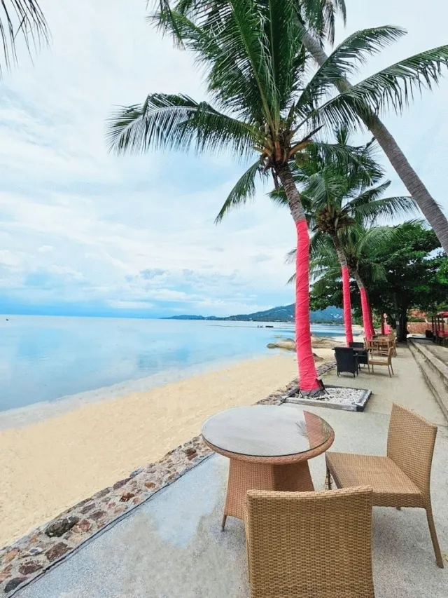 Hotellbilder av Beach Republic, Koh Samui - nummer 1 av 100