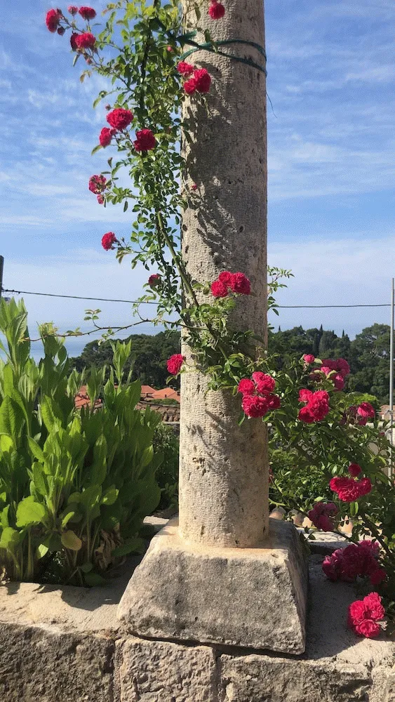 Billede av hotellet Villa Anica Dubrovnik - nummer 1 af 10