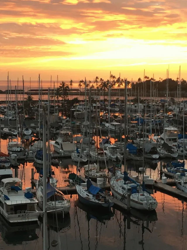 Hotellbilder av Ilikai Marina One Bedroom Harbor View Condos - Walk to Ala Moana Beach Park! - nummer 1 av 51