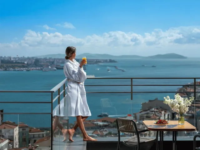 Hotellbilder av Sofitel Istanbul Taksim - nummer 1 av 100