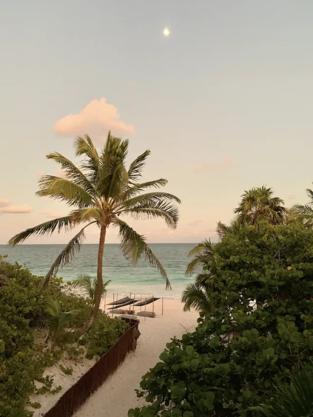 Hotellbilder av Libelula Tulum Beachfront Hotel - nummer 1 av 77