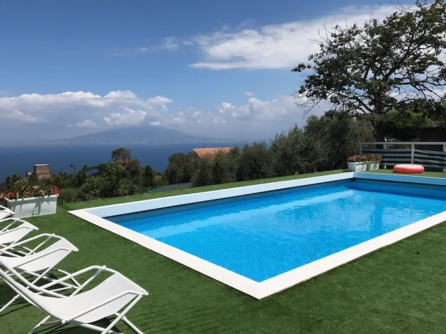 Billede av hotellet Sorrento Olive Tree Garden - nummer 1 af 10