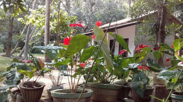 Hotellbilder av Venus Paradise - nummer 1 av 11