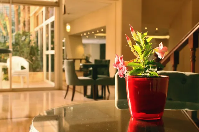 Billede av hotellet The Cosmopolitan Hotel - nummer 1 af 56