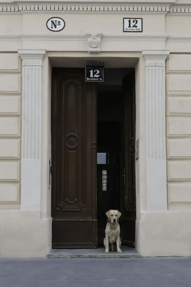 Billede av hotellet Old Vienna Apartments - nummer 1 af 10