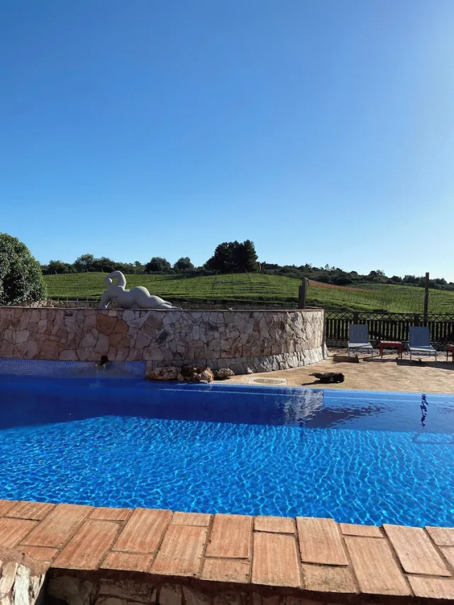 Billede av hotellet Quinta dos Vales - nummer 1 af 10