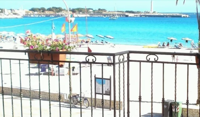 Billede av hotellet Hotel Riviera - nummer 1 af 35