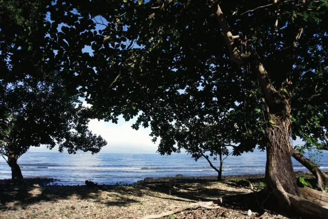 Hotellbilder av Koh Chang Privilege - nummer 1 av 53
