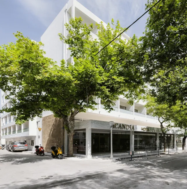Billede av hotellet Hotel Acandia - nummer 1 af 53