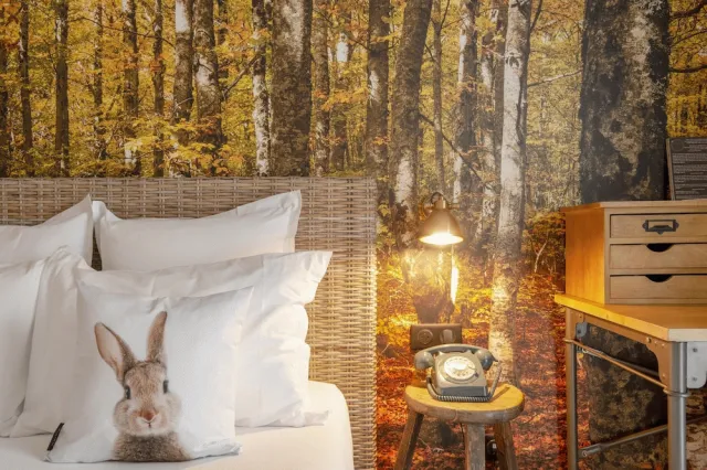 Billede av hotellet La Maison Hotel Mulhouse - nummer 1 af 100