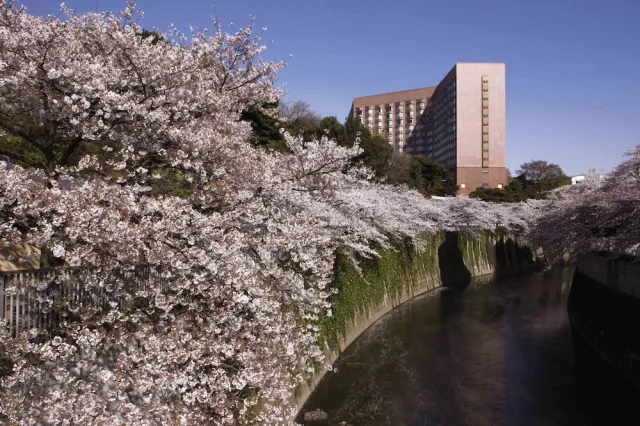Billede av hotellet Hotel Chinzanso Tokyo - nummer 1 af 100