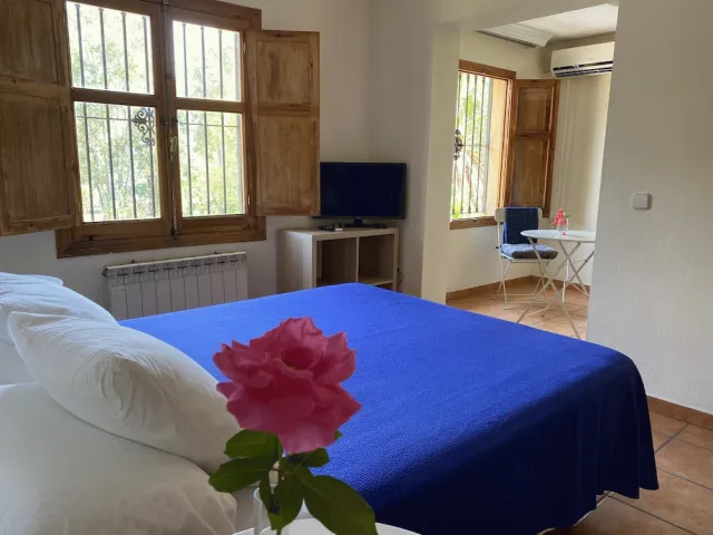 Billede av hotellet Hostal Moscatel - nummer 1 af 10