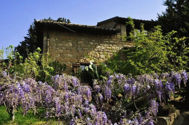 Billede av hotellet La Casa sulla Collina d'Oro - nummer 1 af 10