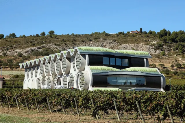 Hotellbilder av Mastinell Cava & Boutique Hotel by Olivia Hotels Collection - nummer 1 av 59