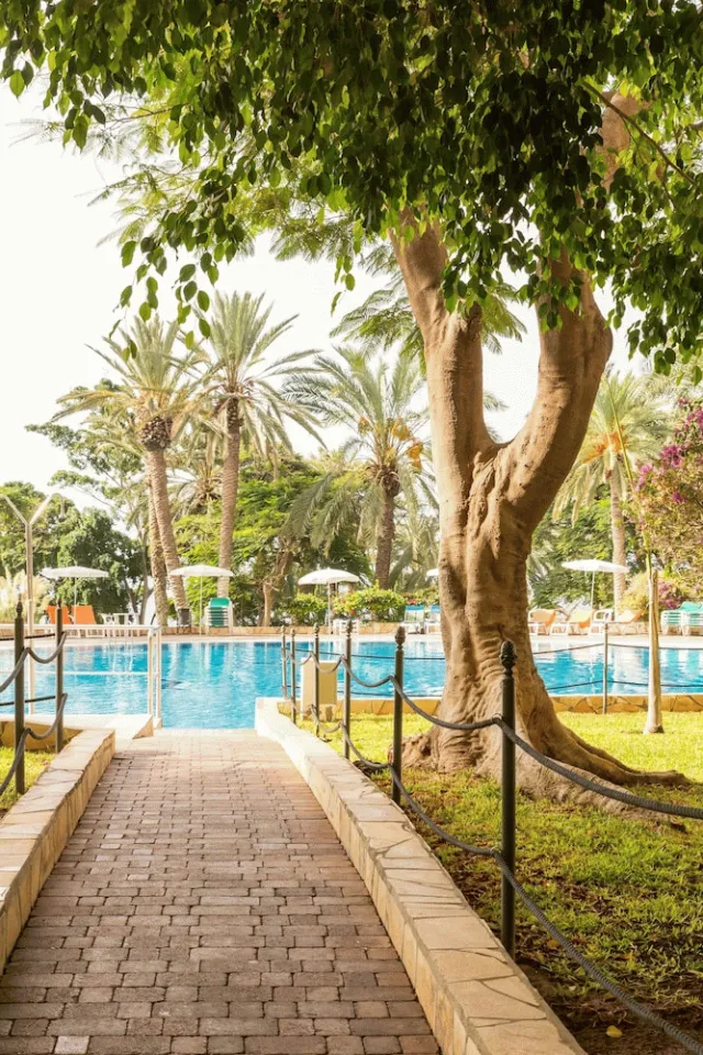 Billede av hotellet Pierre & Vacances Tenerife-Marazul del Sur - nummer 1 af 10