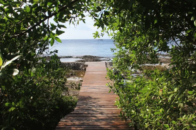 Billede av hotellet Cozumel Condo #A2 - nummer 1 af 18