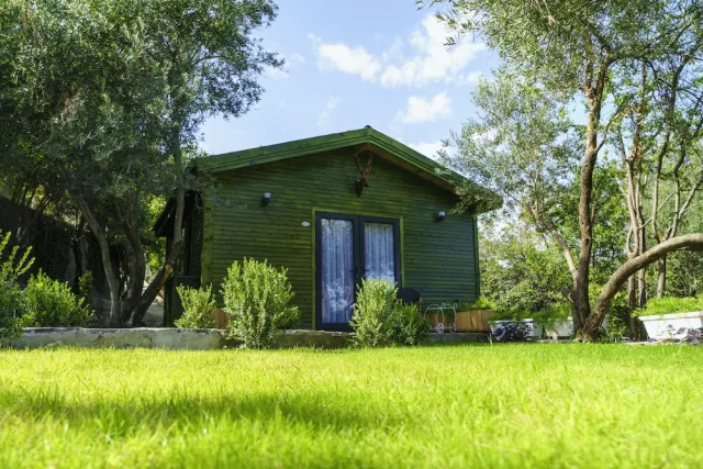 Billede av hotellet Apa Mountain Lodge - nummer 1 af 39