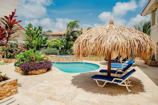 Hotellbilder av Amazing Studio 2 km From Eagle Beach - nummer 1 av 27