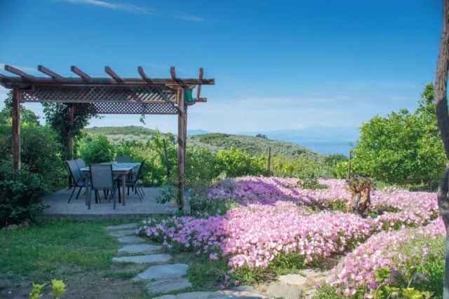 Hotellbilder av Mikros Paradisos Pelion - nummer 1 av 44