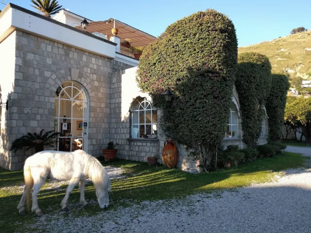 Billede av hotellet Villa Tara - nummer 1 af 10