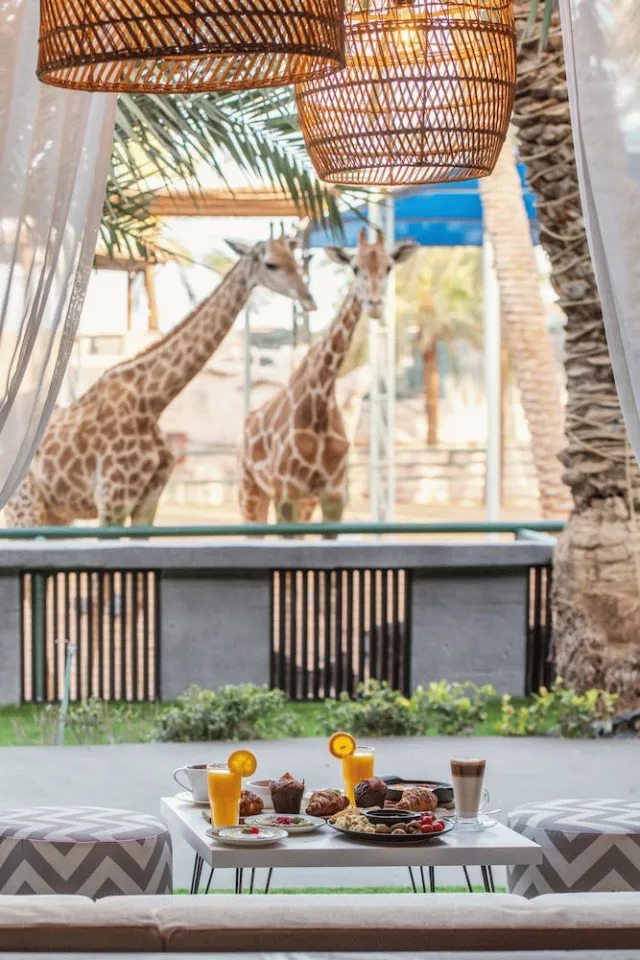Billede av hotellet Emirates Park Resort - nummer 1 af 54