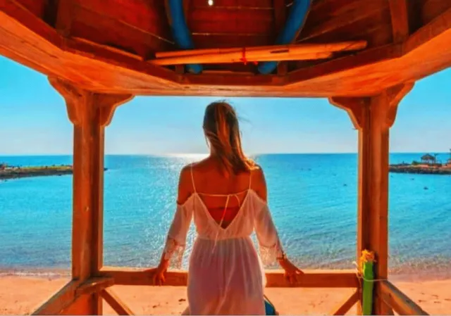 Billede av hotellet Davinci Beach Resort - nummer 1 af 72