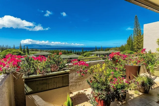 Hotellbilder av Kapalua Golf Villas by Coldwell Banker Island Vacations - nummer 1 av 100