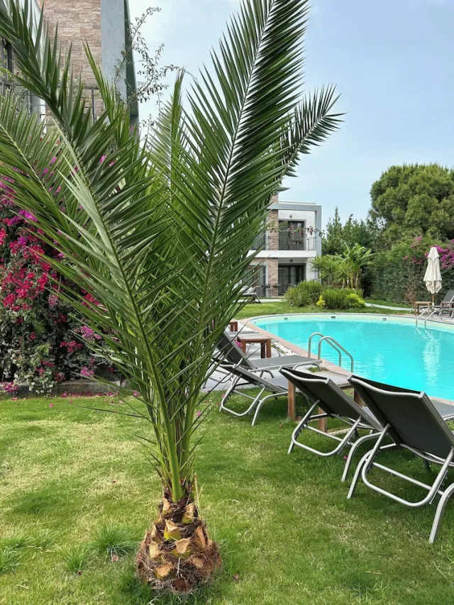 Billede av hotellet Malta Hotel Bodrum - nummer 1 af 66