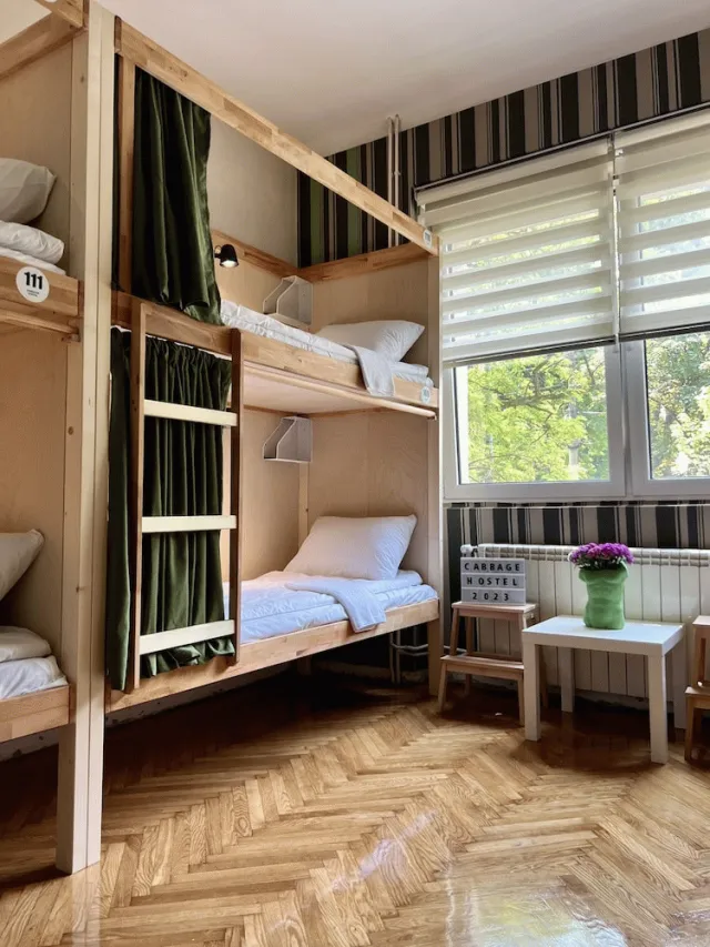 Billede av hotellet Cabbage Hostel - nummer 1 af 10