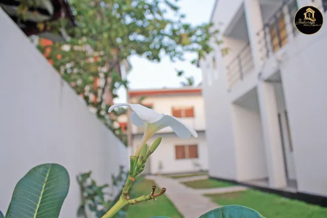 Billede av hotellet The Anchorage Holiday Apartments Negombo - nummer 1 af 32