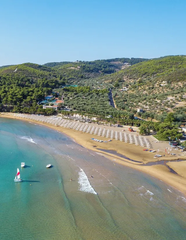 Hotellbilder av Gattarella Family Resort - Self-catering accommodations in the pinewood - nummer 1 av 21
