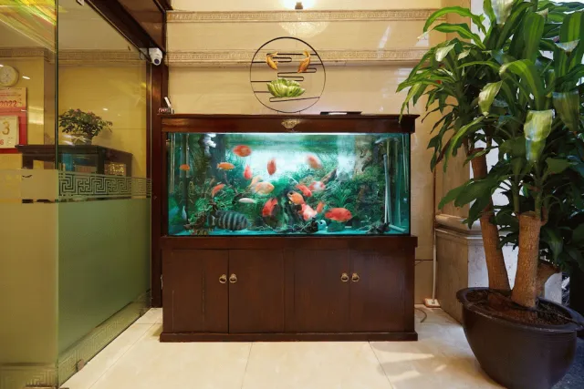Billede av hotellet Hanoi Calido Hotel - nummer 1 af 10