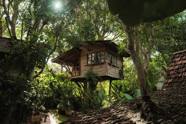 Hotellbilder av Roots Tree House - nummer 1 av 100