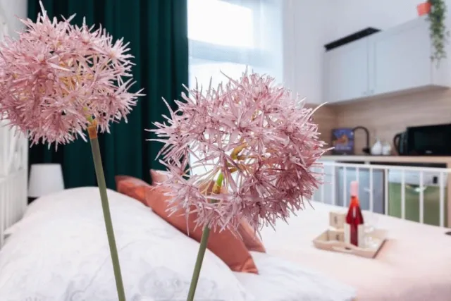 Hotellbilder av Sydonia Apartments - nummer 1 av 64