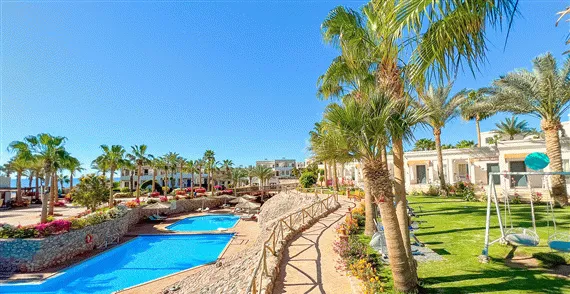 Billede av hotellet Club Reef Hotel - nummer 1 af 28