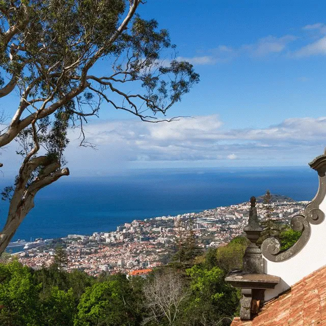 Billede av hotellet Fly & Drive Madeira - Dale og kyster - inklusiv billeje - nummer 1 af 10