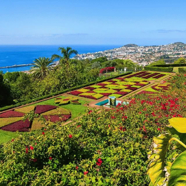 Billede av hotellet Fly & Drive Madeira - Charmerende Madeira - inklusiv billeje - nummer 1 af 11