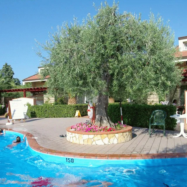 Billede av hotellet Residence Fontana Barone - nummer 1 af 23