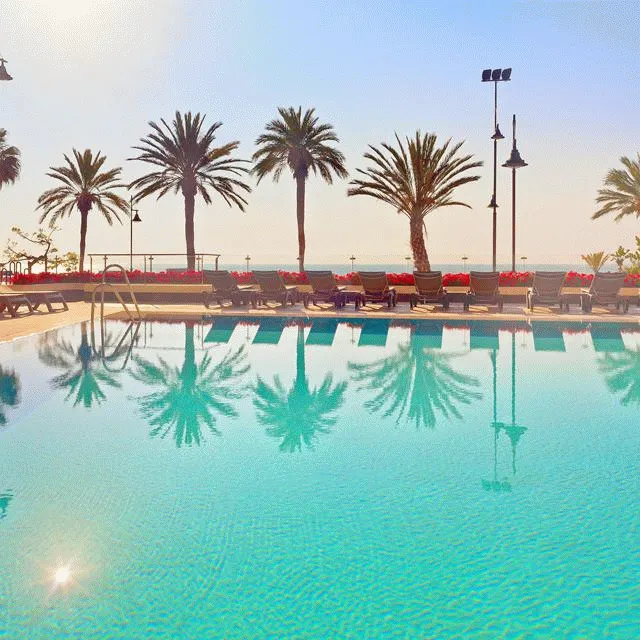 Billede av hotellet Hotel Meliá Costa del Sol - nummer 1 af 41