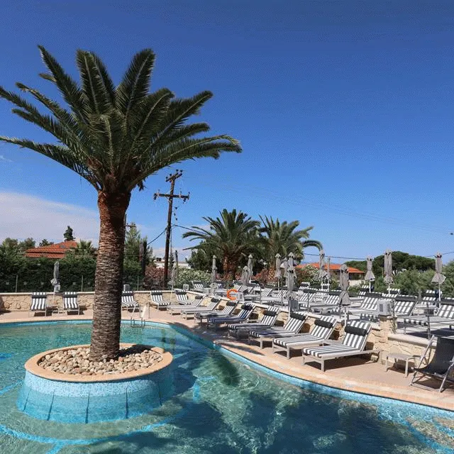 Billede av hotellet Hotel Anna Maria Paradise - nummer 1 af 21