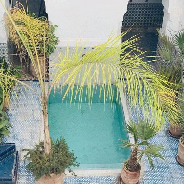 Billede av hotellet Riad Ifoulki - nummer 1 af 29