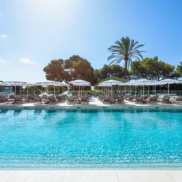 Billede av hotellet Hotel Palia Tropico - nummer 1 af 30