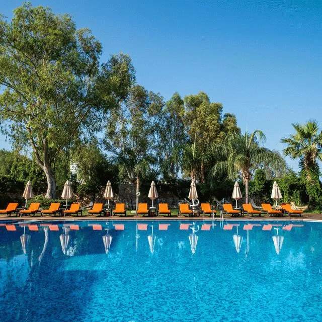 Billede av hotellet Hotel Bodrum Beach Resort - Morgenmad - nummer 1 af 24