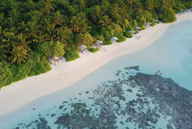 Billede av hotellet Plumeria Maldives - nummer 1 af 10